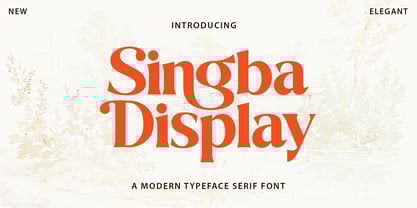 Singba Display Font Poster 1
