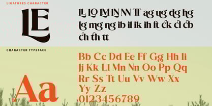 Singba Display Font Poster 5