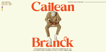 Singba Display Font Poster 2