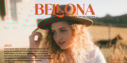 Singba Display Font Poster 7