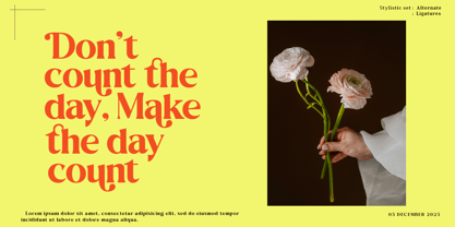 Singba Display Font Poster 10