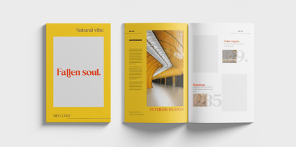 Singba Display Font Poster 4