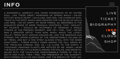 Typonium Font Poster 8