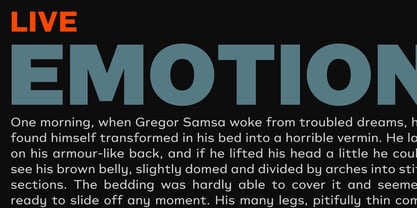 Typonium Font Poster 4