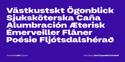 Palo Nuevo Font Poster 11