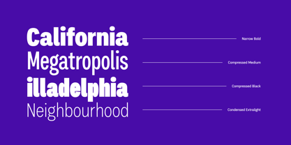 Palo Nuevo Font Poster 14