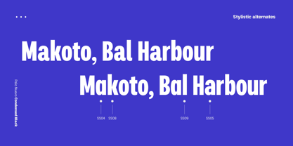 Palo Nuevo Font Poster 8