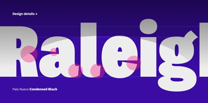 Palo Nuevo Font Poster 6