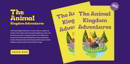 Ayixol Font Poster 3