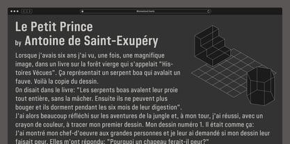 Minimalized Font Poster 5