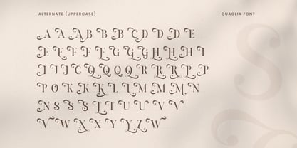 Armoria Font Poster 11