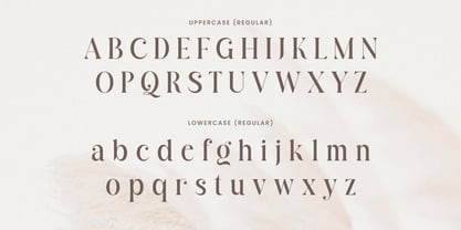 Armoria Font Poster 9