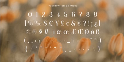 Armoria Font Poster 13