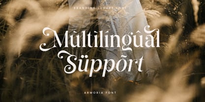 Armoria Font Poster 14