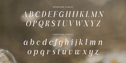 Armoria Font Poster 10