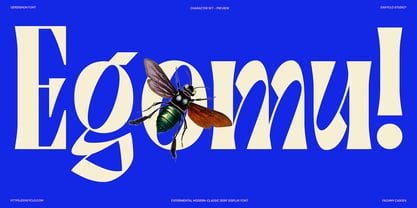 Gerdishon Font Poster 8