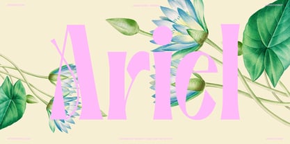 Gerdishon Font Poster 3