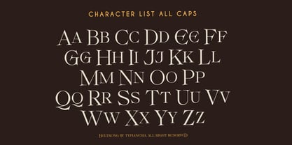 Beltkong Font Poster 11