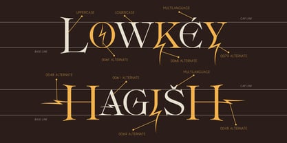 Beltkong Font Poster 4