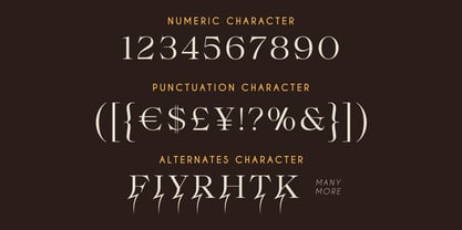 Beltkong Font Poster 12