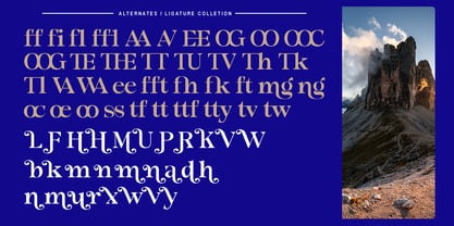 Morgazine Font Poster 10