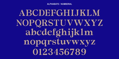 Morgazine Font Poster 8