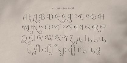 Rosaria Font Poster 10