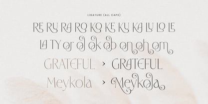 Rosaria Font Poster 9