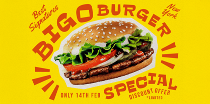 Rooly Font Poster 11