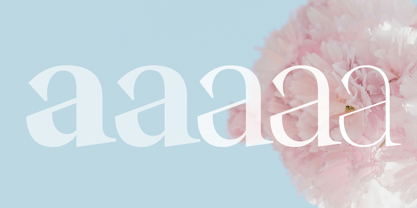 Stability Font Poster 3