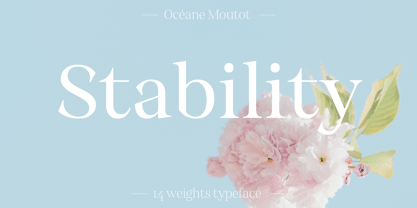 Stability Font Poster 1
