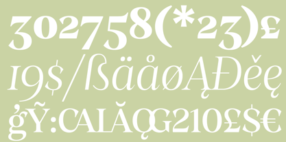 Stability Font Poster 5