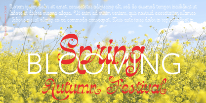 Beauty Romance Font Poster 6