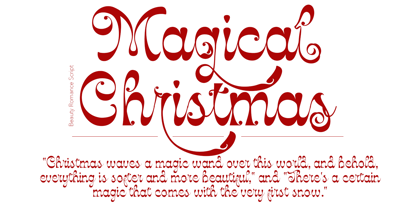 Beauty Romance Font Poster 2