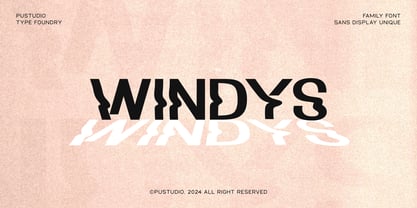 Windys Font Poster 1