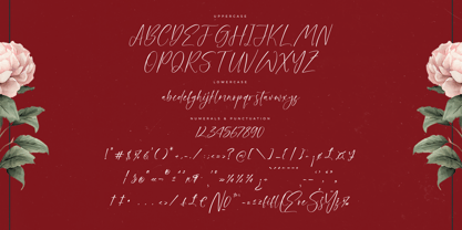 Petalika Font Poster 7