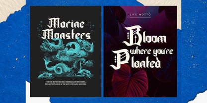 Cloestu Font Poster 11