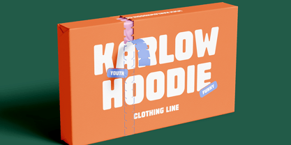 DT Youthy Bold Font Poster 5