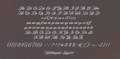 Bella Elegante Font Poster 9