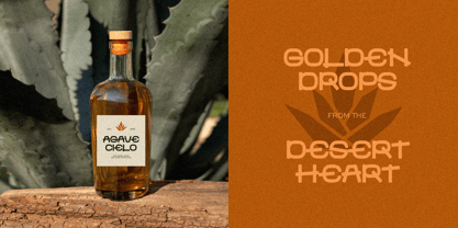 Paloma Origen Font Poster 2