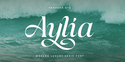 Aylia Font Poster 1