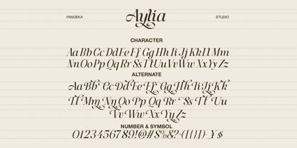 Aylia Font Poster 9