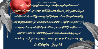 Project Humble Font Poster 15