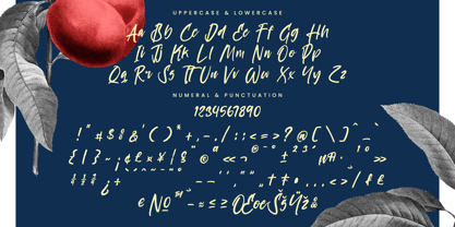 Project Humble Font Poster 14