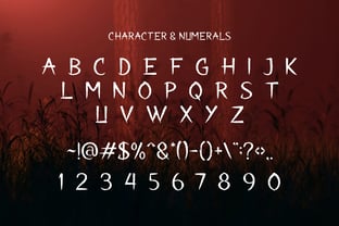 Void Scrawl Font Poster 2