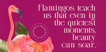 Magenta Rosalia Font Poster 13