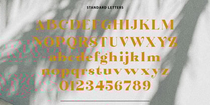 Bintro Font Poster 8