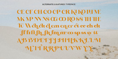 Bintro Font Poster 5
