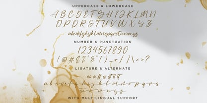 Sally Tazem Font Poster 7