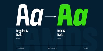 Welfare Font Poster 6